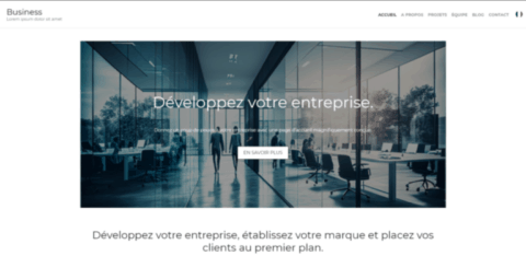 VALIS CONSEILS, CREATION SITE INSTITUTIONNEL